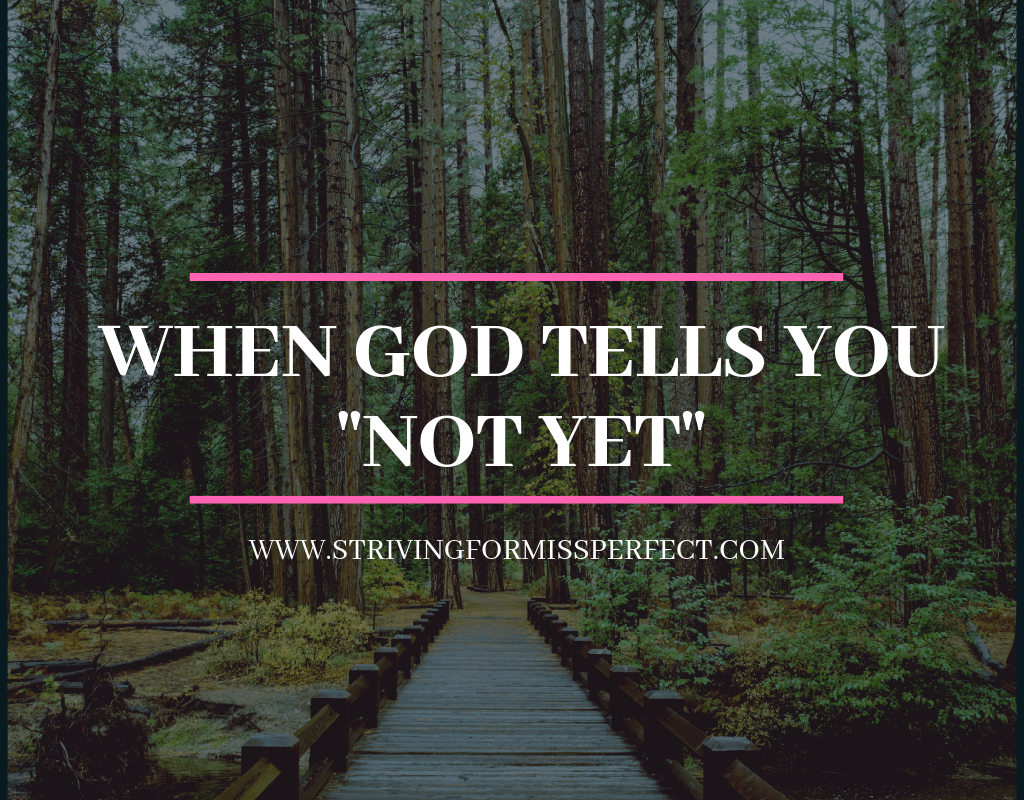 When God Tells You “Not Yet”